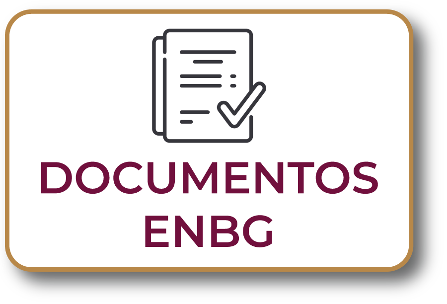Texto alternativo del nuevo botón